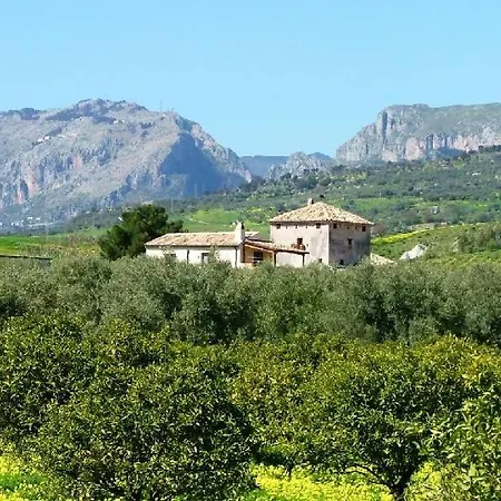 Vittoria